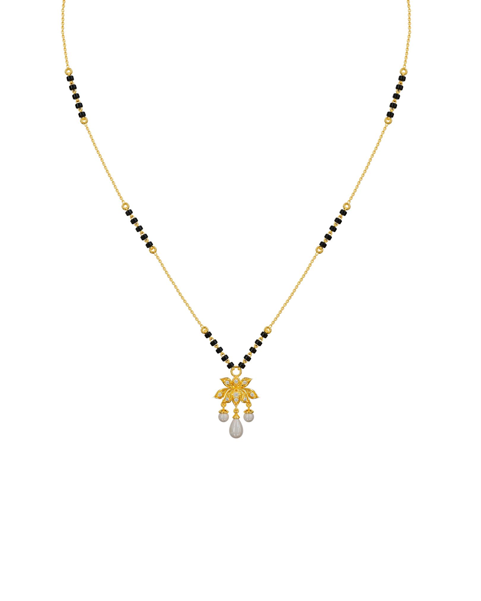 V_SRINMG 47_2025-03-24_01-35-54.jpg